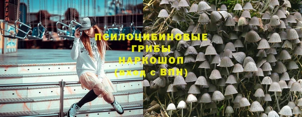 твердый Новосибирск