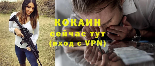 твердый Новосибирск