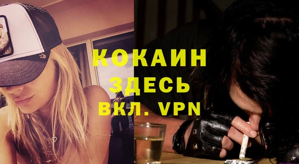 твердый Новосибирск