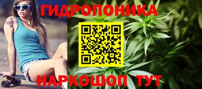 Альфа ПВП Волжск