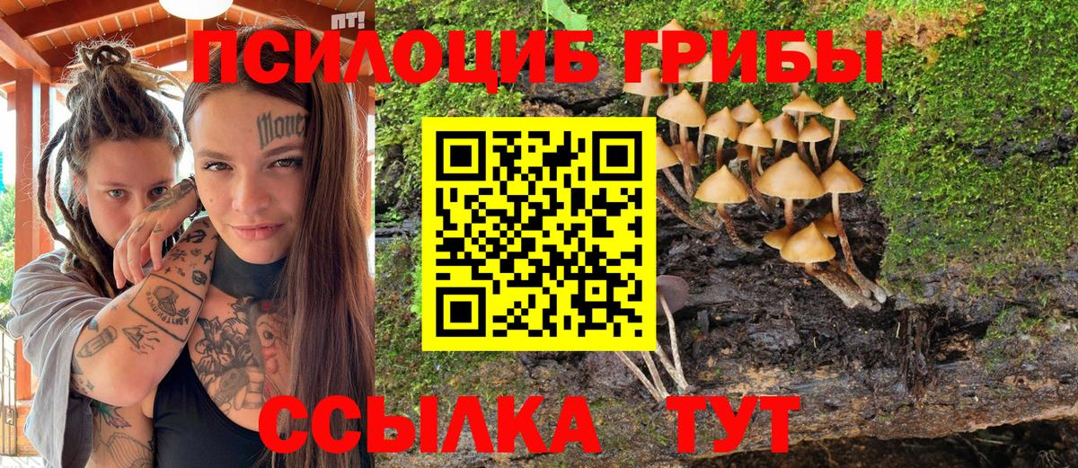 Россия  Псилоцибиновые грибы мухоморы  Вход с VPN  Галлюциногенные грибы мицелий 