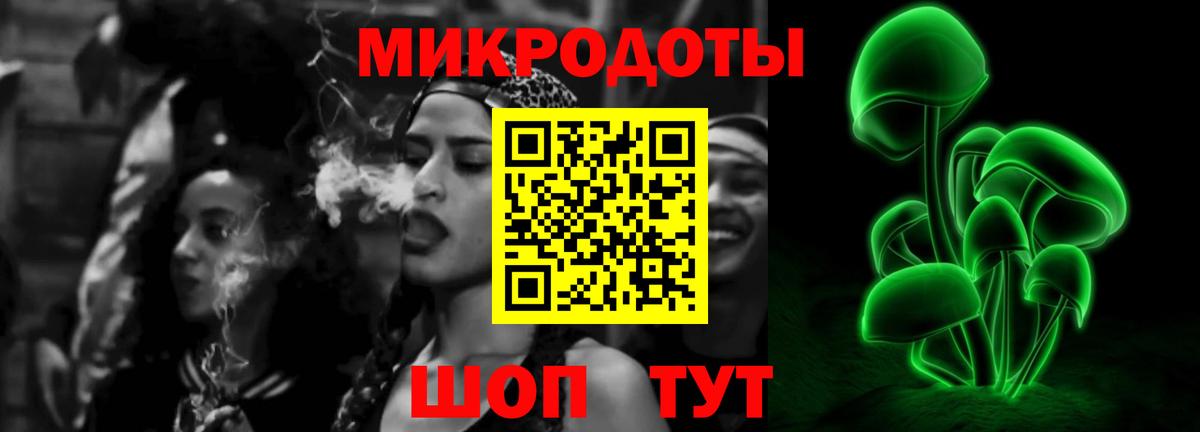 Галлюциногенные грибы GOLDEN TEACHER  Псилоцибиновые грибы ЛСД  Россия 