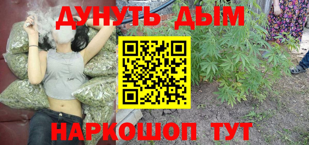 Каннабис конопля Россия